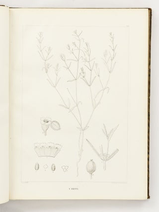 Icones Euphorbiarum, ou Figures de cent vingt-deux espèces du genre Euphorbia, dessinées et Gravées par Heyland, avec des considérations sur la classification et la distribution géographique des plantes de ce genre par E. Boissier