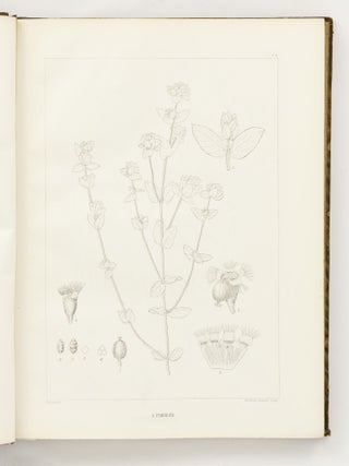 Icones Euphorbiarum, ou Figures de cent vingt-deux espèces du genre Euphorbia, dessinées et Gravées par Heyland, avec des considérations sur la classification et la distribution géographique des plantes de ce genre par E. Boissier