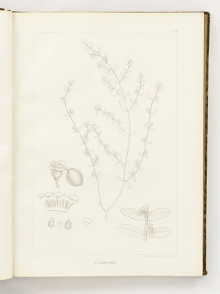 Icones Euphorbiarum, ou Figures de cent vingt-deux espèces du genre Euphorbia, dessinées et Gravées par Heyland, avec des considérations sur la classification et la distribution géographique des plantes de ce genre par E. Boissier