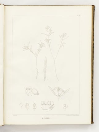 Icones Euphorbiarum, ou Figures de cent vingt-deux espèces du genre Euphorbia, dessinées et Gravées par Heyland, avec des considérations sur la classification et la distribution géographique des plantes de ce genre par E. Boissier