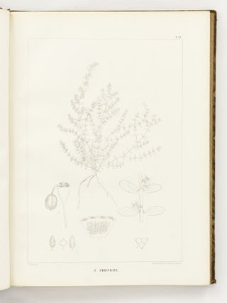 Icones Euphorbiarum, ou Figures de cent vingt-deux espèces du genre Euphorbia, dessinées et Gravées par Heyland, avec des considérations sur la classification et la distribution géographique des plantes de ce genre par E. Boissier