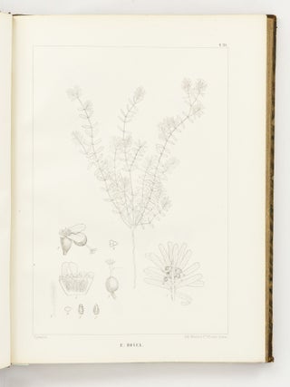 Icones Euphorbiarum, ou Figures de cent vingt-deux espèces du genre Euphorbia, dessinées et Gravées par Heyland, avec des considérations sur la classification et la distribution géographique des plantes de ce genre par E. Boissier
