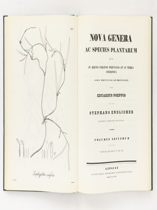 Item #144042 Nova Genera ac Species Plantarum quas in Regno Chilensi Peruviano et in Terra...