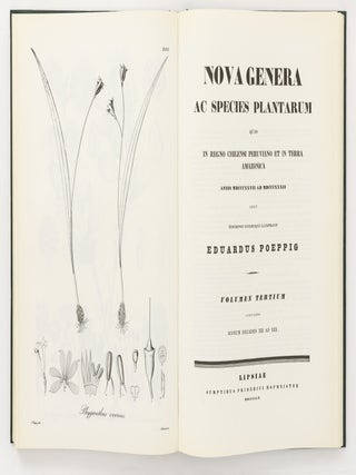Nova Genera ac Species Plantarum quas in Regno Chilensi Peruviano et in Terra Amazonica annis MDCCCXXVII ad MDCCCXXXII legit Eduardus Poeppig, et cum Stephano Endlicher descripsit iconibusque illustravit