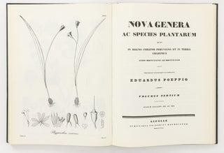 Nova Genera ac Species Plantarum quas in Regno Chilensi Peruviano et in Terra Amazonica annis MDCCCXXVII ad MDCCCXXXII legit Eduardus Poeppig, et cum Stephano Endlicher descripsit iconibusque illustravit
