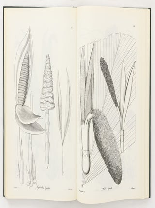 Nova Genera ac Species Plantarum quas in Regno Chilensi Peruviano et in Terra Amazonica annis MDCCCXXVII ad MDCCCXXXII legit Eduardus Poeppig, et cum Stephano Endlicher descripsit iconibusque illustravit