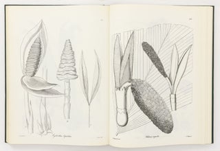 Nova Genera ac Species Plantarum quas in Regno Chilensi Peruviano et in Terra Amazonica annis MDCCCXXVII ad MDCCCXXXII legit Eduardus Poeppig, et cum Stephano Endlicher descripsit iconibusque illustravit
