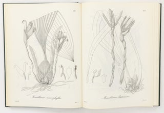 Nova Genera ac Species Plantarum quas in Regno Chilensi Peruviano et in Terra Amazonica annis MDCCCXXVII ad MDCCCXXXII legit Eduardus Poeppig, et cum Stephano Endlicher descripsit iconibusque illustravit