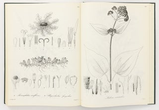 Nova Genera ac Species Plantarum quas in Regno Chilensi Peruviano et in Terra Amazonica annis MDCCCXXVII ad MDCCCXXXII legit Eduardus Poeppig, et cum Stephano Endlicher descripsit iconibusque illustravit