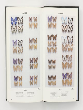 Butterflies of Australia. Their Identification, Biology and Distribution