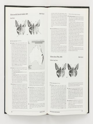 Butterflies of Australia. Their Identification, Biology and Distribution