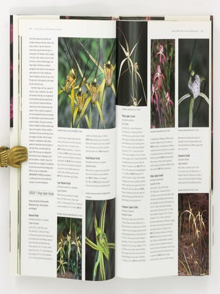 A Complete Guide to Native Orchids of Australia, including the Island Territories