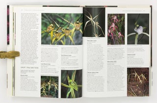 A Complete Guide to Native Orchids of Australia, including the Island Territories