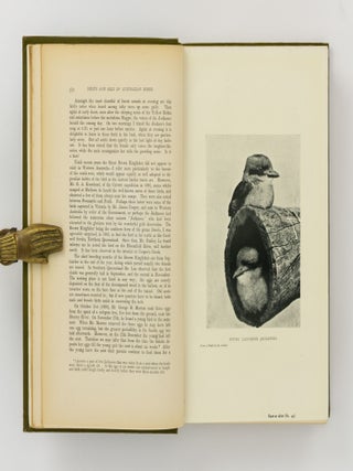 Nests and Eggs of Australian Birds, including the Geographical Distribution of the Species and Popular Observations thereon
