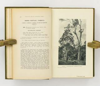 Nests and Eggs of Australian Birds, including the Geographical Distribution of the Species and Popular Observations thereon
