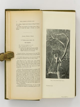 Nests and Eggs of Australian Birds, including the Geographical Distribution of the Species and Popular Observations thereon