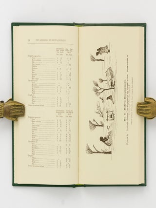 The Folklore, Manners, Customs, and Languages of the South Australian ...