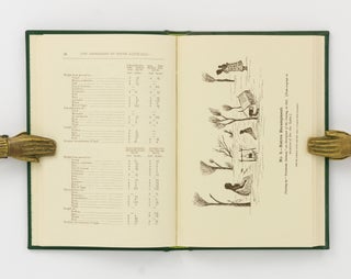 George Taplin The Folklore, Manners, Customs, and Languages of the South Australian ...