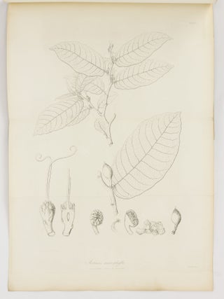 The Miscellaneous Botanical Works of Robert Brown ... Vol. III. Atlas of Plates