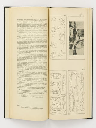 North Queensland Ethnography [the complete set of 18 Bulletins]