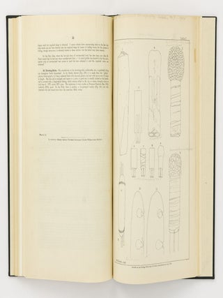 North Queensland Ethnography [the complete set of 18 Bulletins]