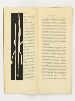 Notes on the Natives of Bathurst Island, North Australia