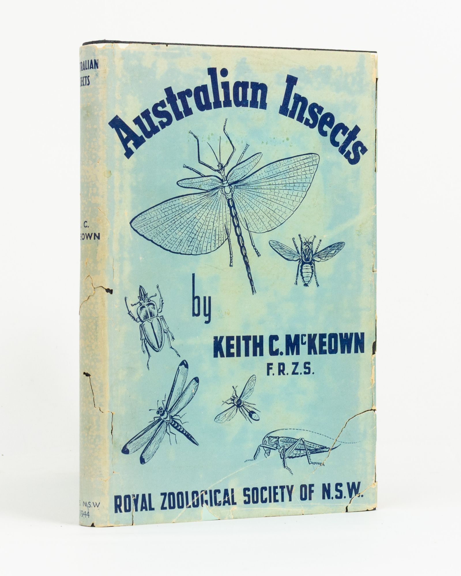 Australian Insects. An Introductory Handbook | Keith C. McKEOWN | 2nd ...