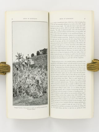 Fruits of Queensland