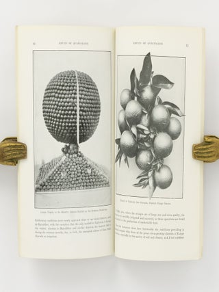 Fruits of Queensland