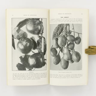 Fruits of Queensland
