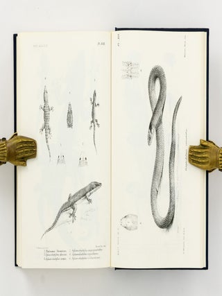 Catalogue of the Lizards in the British Museum (Natural History) [three volumes bound as two]