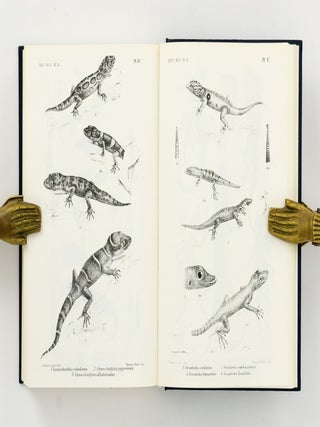 Catalogue of the Lizards in the British Museum (Natural History) [three volumes bound as two]