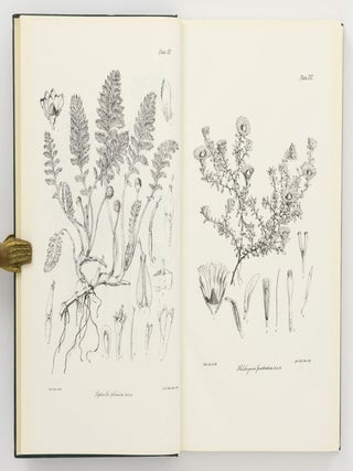 The Botany [of] the Antarctic Voyage of H.M. Discovery Ships 'Erebus' and 'Terror' in the Years 1839-1843 [facsimile edition in four volumes]