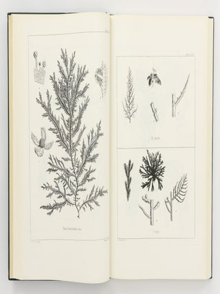 The Botany [of] the Antarctic Voyage of H.M. Discovery Ships 'Erebus' and 'Terror' in the Years 1839-1843 [facsimile edition in four volumes]