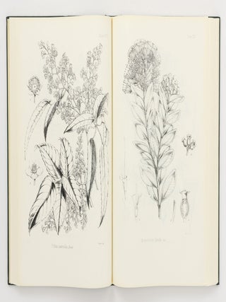 The Botany [of] the Antarctic Voyage of H.M. Discovery Ships 'Erebus' and 'Terror' in the Years 1839-1843 [facsimile edition in four volumes]