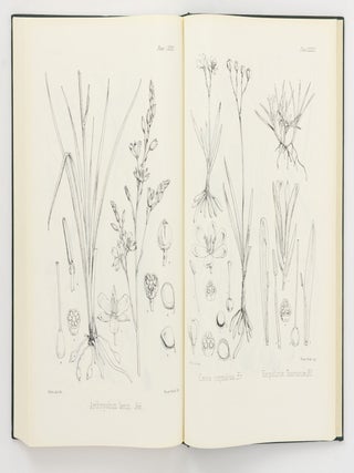 The Botany [of] the Antarctic Voyage of H.M. Discovery Ships 'Erebus' and 'Terror' in the Years 1839-1843 [facsimile edition in four volumes]