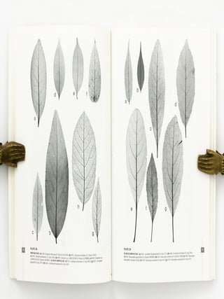 Australian Tropical Rain Forest Trees. An Interactive Identification System. Volume 2. [Together with] Leaf Atlas of Australian Tropical Rain Forest Trees