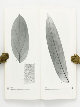 Australian Tropical Rain Forest Trees. An Interactive Identification System. Volume 2. [Together with] Leaf Atlas of Australian Tropical Rain Forest Trees