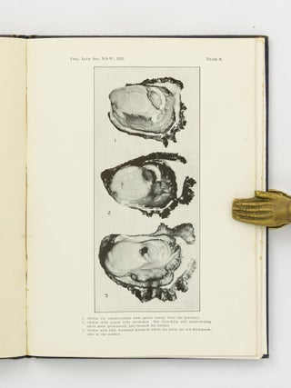 Item #144477 The Life History of the Australian Oyster (Ostrea Commercialis). [An offprint from]...