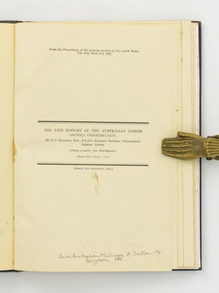 The Life History of the Australian Oyster (Ostrea Commercialis). [An offprint from] The Proceedings of the Linnean Society of New South Wales, Vol. LVIII, Parts 3-4, 1933