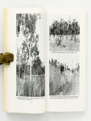 Biological Survey of Mitchell Plateau and Admiralty Gulf, Kimberley, Western Australia. Papers resulting from a joint field expedition to Mitchell Plateau, Kimberley, by the Western Australian Museum, Perth, and the Field Museum of Natural History, Chicago, U.S.A., 1976-1977