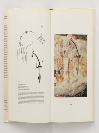 Bradshaws. Ancient Rock Paintings of North-West Australia