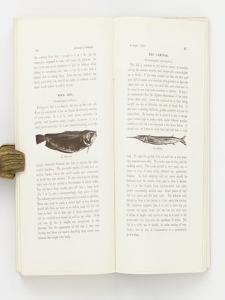 Handbook of Tasmania