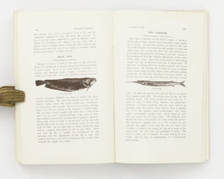 Handbook of Tasmania