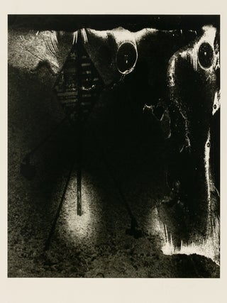 'Navigation Markers, 1970, Cape Breton, Nova Scotia' [a plate from 'Jupiter. Minor WHITE.