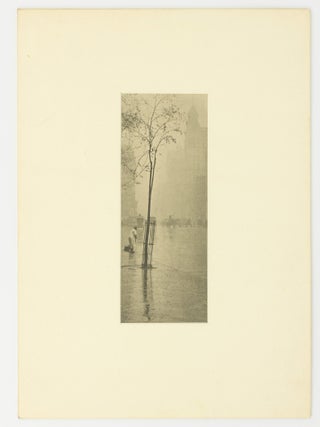 'Spring Showers' [a plate from 'Camera Work', Number XXXVI, October 1911]