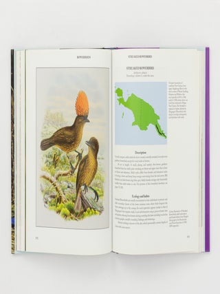 Bowerbirds. Nature, Art & History
