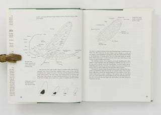 Mayflies. An Angler's study of Trout Water Ephemeroptera