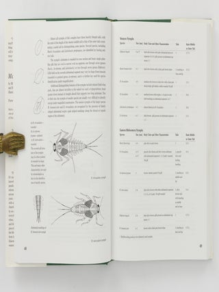 Mayflies. An Angler's study of Trout Water Ephemeroptera