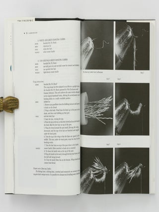 Caddisflies